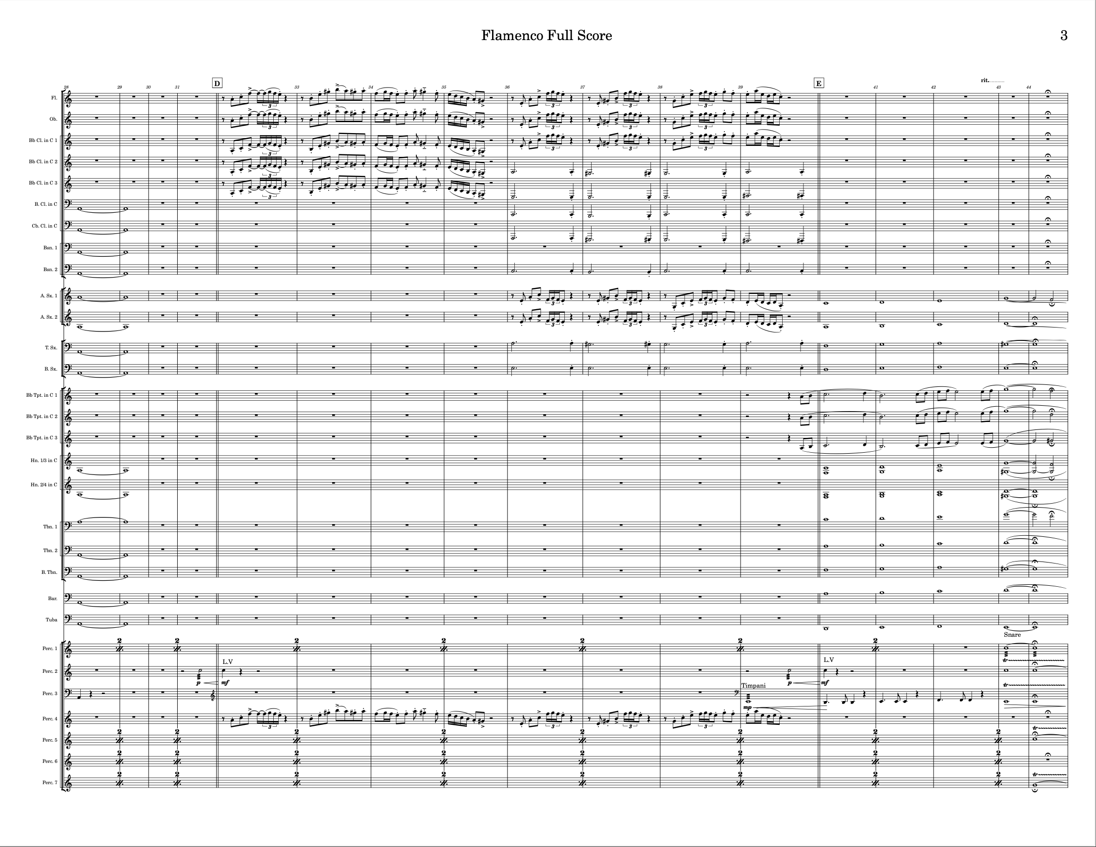 Impressions of Flamenco – image 7